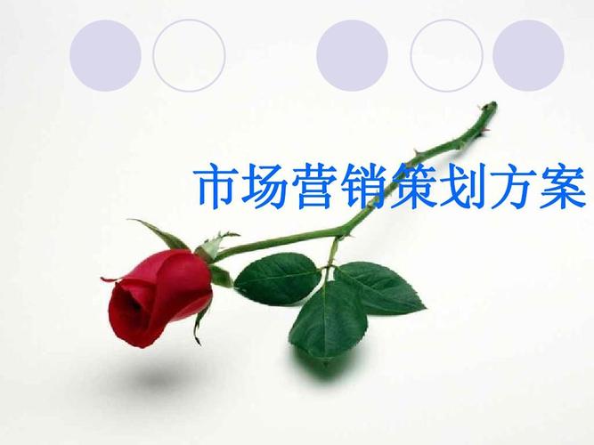 黑弧奥美提案 超市商品分类、旅游市场营销与企业形象策划整合方案